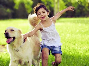 A child and a golden retriever run through a grassy field. They both look happy